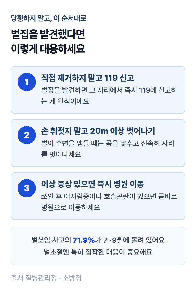벌집 발견 시 119 신고, 안전거리 확보 후 신속히 이탈하는 대응 요령 인포그래픽