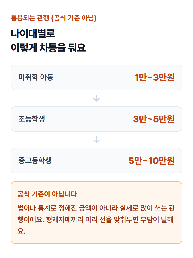 나이대별(미취학·초등·중고생·성인) 세뱃돈 단계를 화살표로 보여주는 인포그래픽